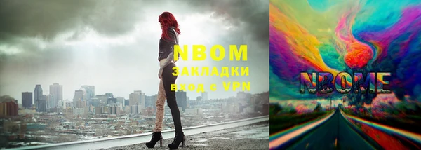 прущие грибы Нефтекумск