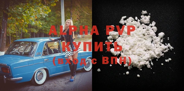 прущие грибы Нефтекумск