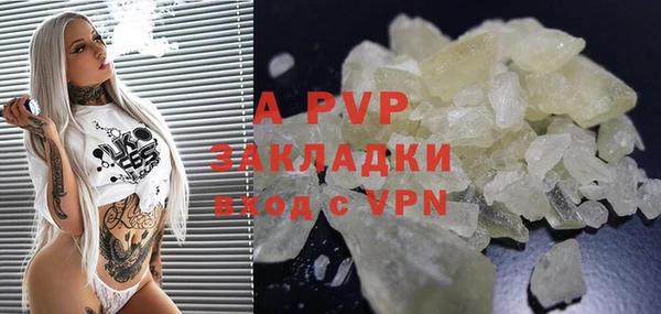 прущие грибы Нефтекумск